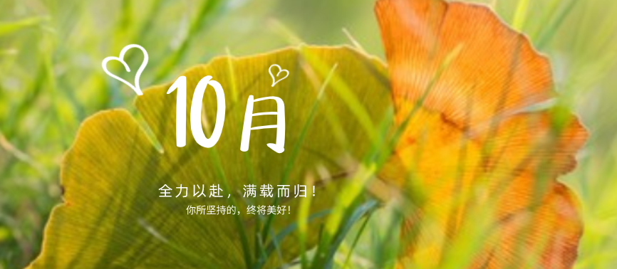 蓄力下半場|“十不我待，吾力全開”！網站設計、網站優化都快做起來！